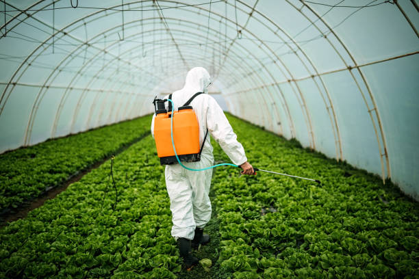 Best Pest Control for Restaurants  in East Quincy, CA