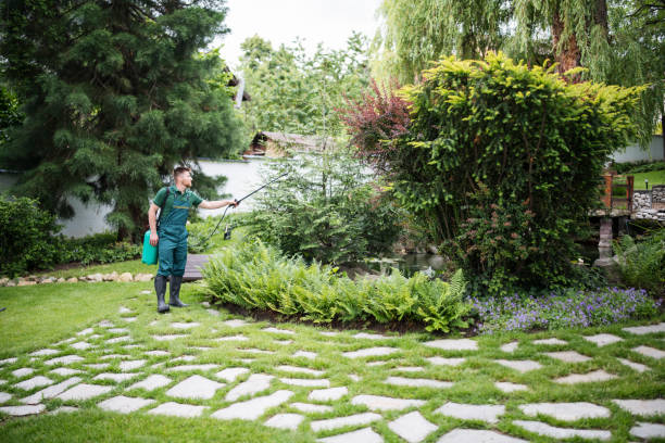 Flea Control Services in East Quincy, CA