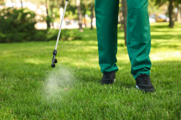 Best Termite Control Services  in East Quincy, CA