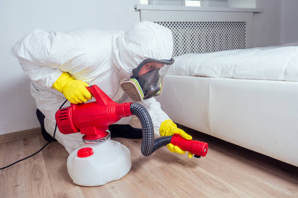 Best Flea Control Services  in East Quincy, CA