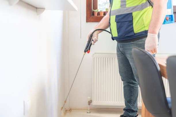 Best Mosquito Control Services  in East Quincy, CA