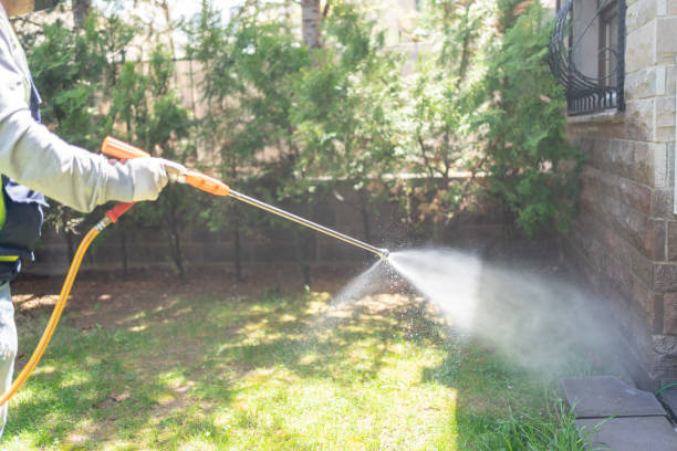 Best Best Pest Control Companies  in East Quincy, CA