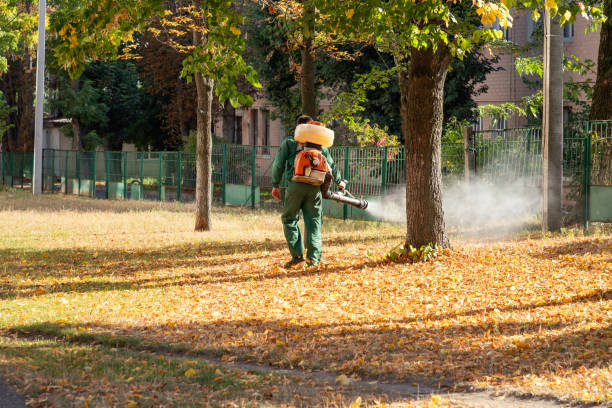 Best Pest Control Cost  in East Quincy, CA