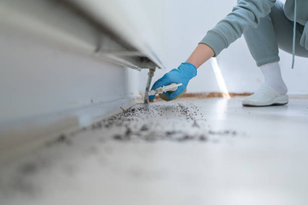 Best Pest Removal Services  in East Quincy, CA